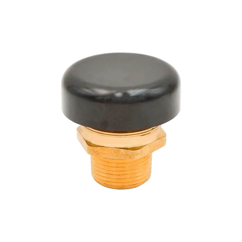 Lead Free Brass Vacuum Release Valve